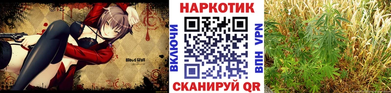 Магазин наркотиков Алатырь ГАШ  Кокаин  A PVP  Каннабис  Псилоцибиновые грибы  MDMA  Меф мяу мяу 
