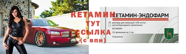 спиды Магас