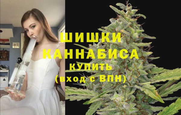 мдпв Мегион