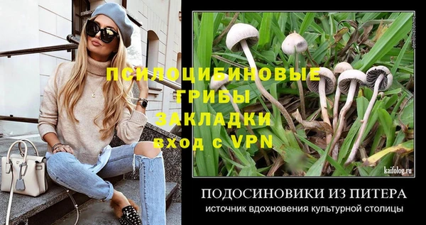 бутират Медногорск