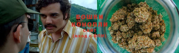 мдпв Мегион