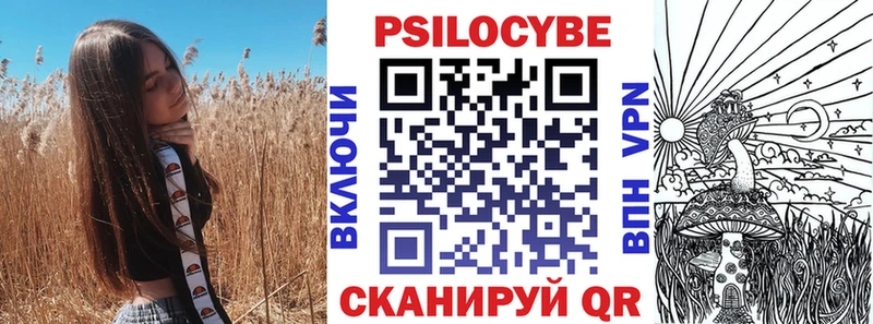купить наркотики сайты  Алатырь  Псилоцибиновые грибы мухоморы 